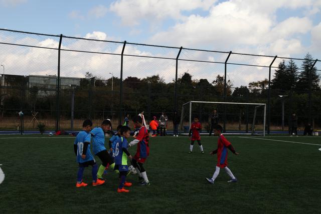 出线稳了?!国足世界杯夺冠赔率亚洲仅低于日韩